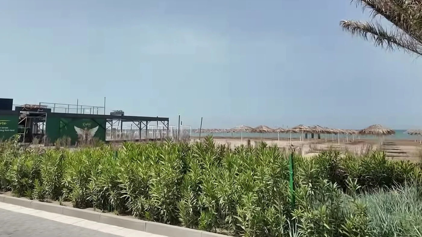 Qumun yanında palma və yaşıl zolaq